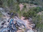 IMG00684-20110625-1143.jpg