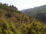 IMG00685-20110625-1143.jpg