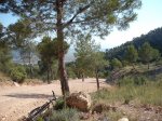 DSCF0141 [ga].JPG