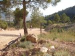 DSCF0138 [ga].JPG
