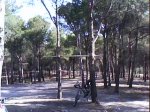 DSC00879.jpg