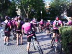 DSC00873.jpg