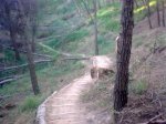 26062011_011.jpg