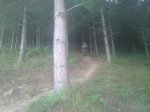 21062011808_800x600.jpg