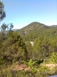Imagen0436.jpg