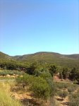 Imagen0437.jpg