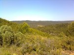 Imagen0426.jpg