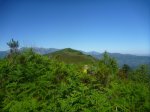 P1050413_800x600.jpg