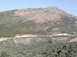 26062011364.jpg