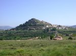 DSC04020.JPG