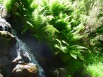Foto7.JPG