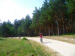 Foto20.JPG