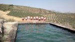 26062011173.jpg