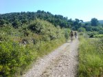 DSC06950.JPG