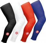 LEG.jpg