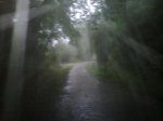 27062011856_800x600.jpg