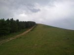 27062011846_800x600.jpg