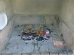 27062011269.jpg