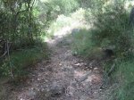 Imagen 008.jpg