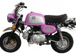 Monkey-125-G-ROSA_600_450[1].jpg