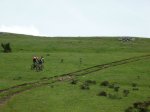 P1020219 (Copiar).jpg