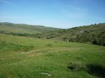 P1020222 (Copiar).jpg