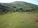 P1020223 (Copiar).jpg