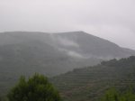 P1014872.JPG