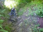 P1050446_800x600.jpg