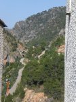 CIMG9686.jpg