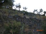 CIMG9704.jpg