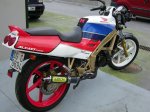 Copia de NSR 4.jpg