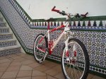 DSC00365.jpg