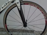 IMG_20110622_211900.jpg
