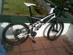 stumpy01 (Copiar).JPG