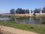 Foto0503.jpg