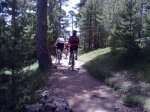 014-Camino de Schmid.jpg