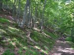 P1050485_800x600.jpg