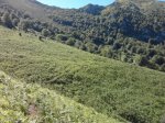 2011-06-25 11.35.49.jpg