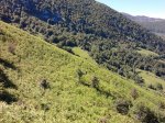 2011-06-25 11.32.41.jpg