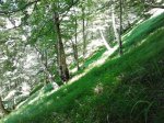 2011-06-25 14.31.29.jpg
