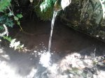 2011-06-25 10.31.14.jpg