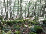 2011-07-02 13.11.41.jpg