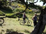 2011-07-02 12.38.16.jpg