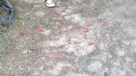 03072011442.jpg