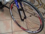 BICI 287.jpg