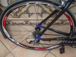 BICI 284.jpg