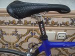 BICI 289.jpg