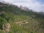 DSCN5346.jpg