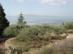 DSC01567.JPG